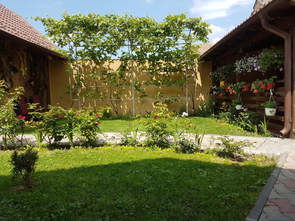 Villa Casa Ovesia Săcele Exterior foto